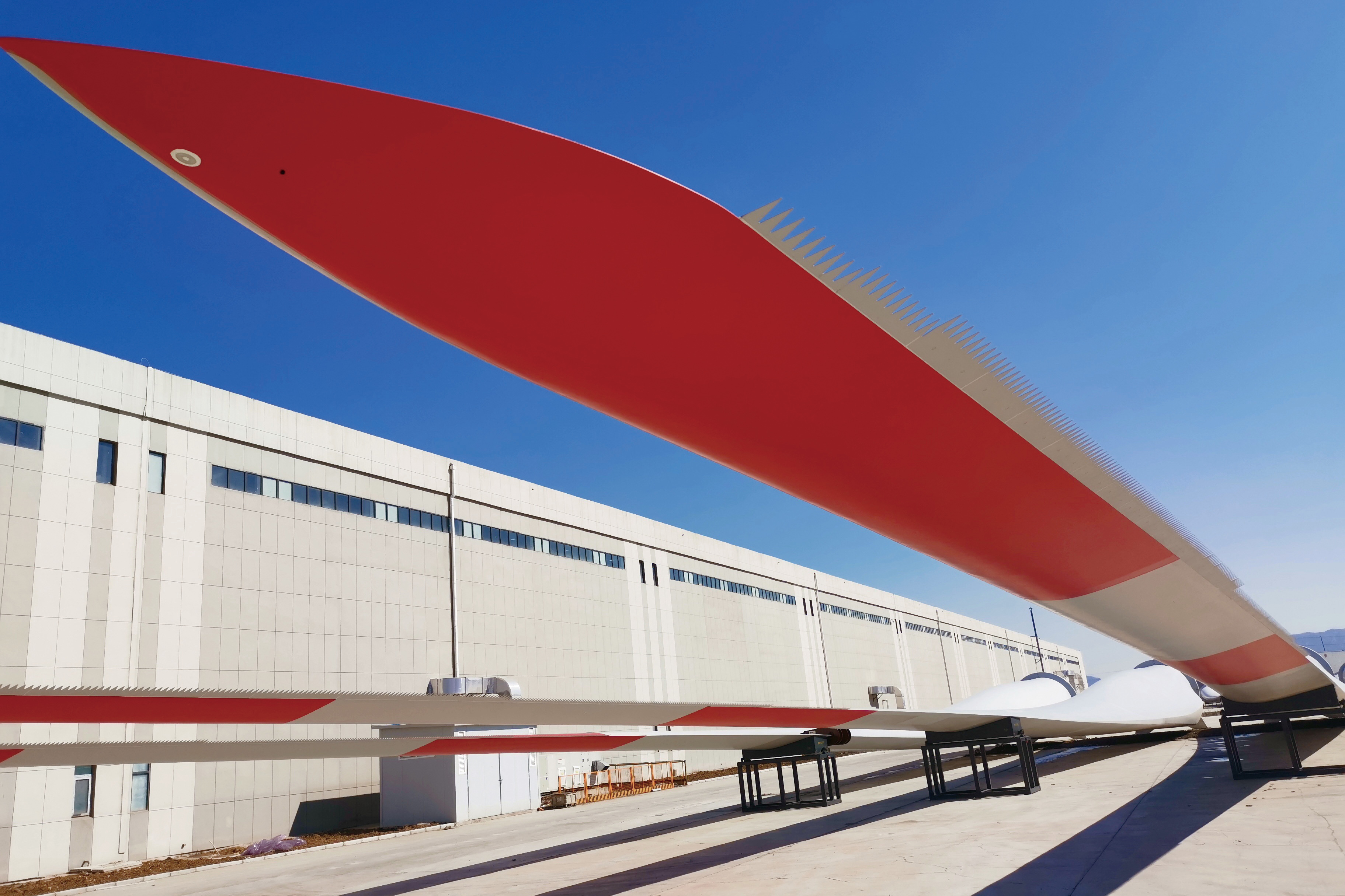 202111021007541635818874476992.jpg 2.B75葉片.jpg