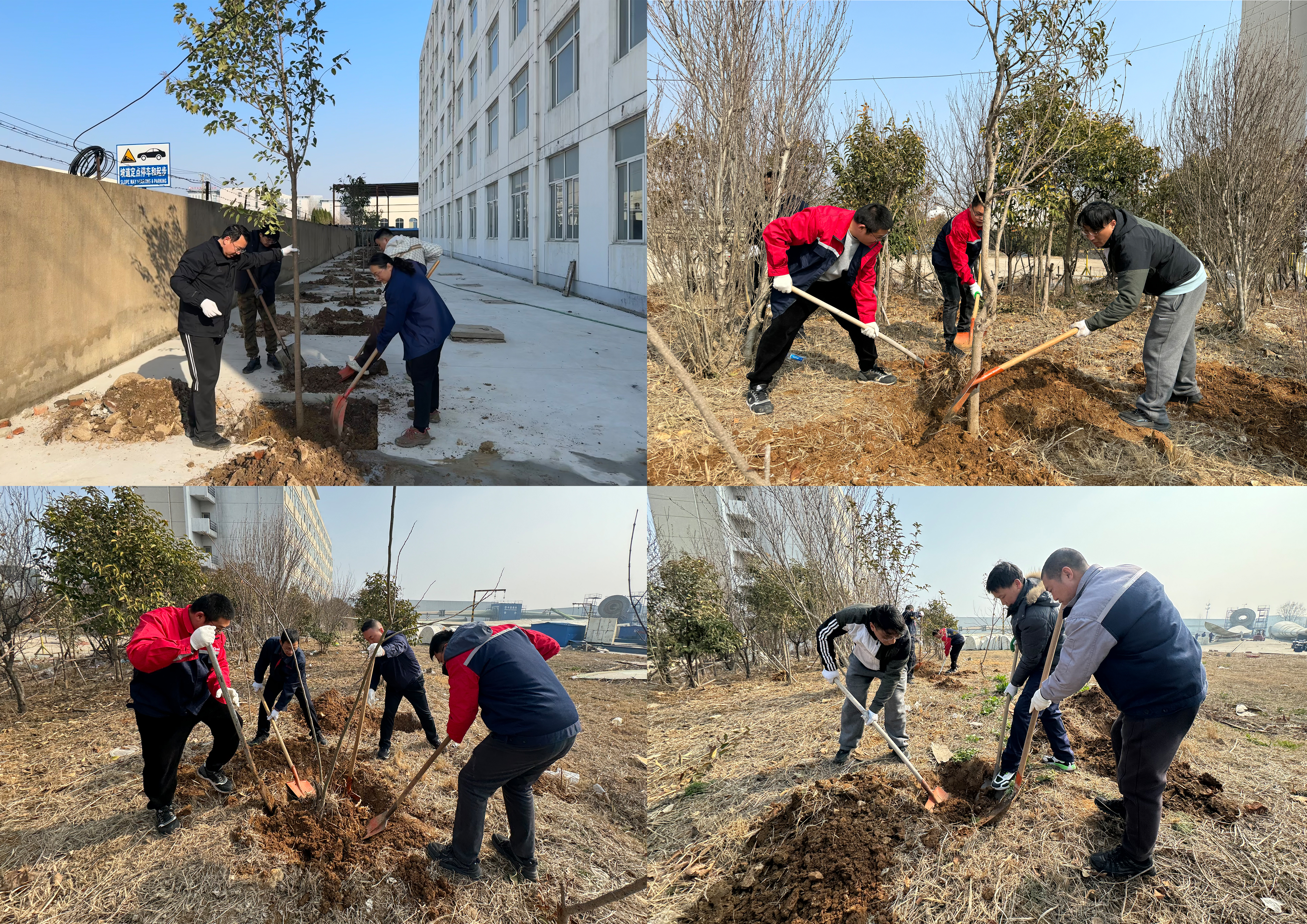 202403131351341710309094234624.jpg 拼.jpg