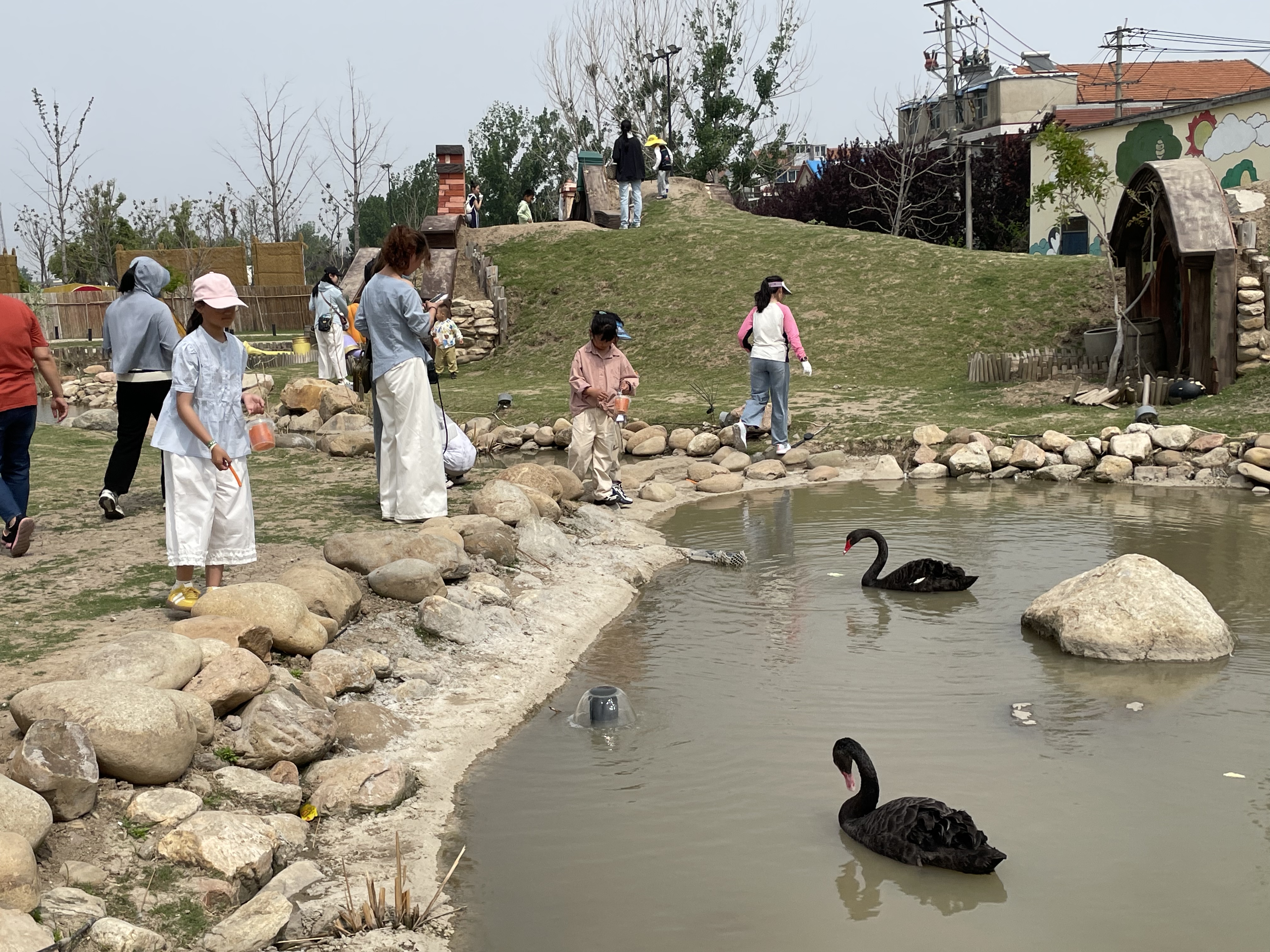 202505201102101747710130429483.jpg 微信圖片_20250519173207.jpg