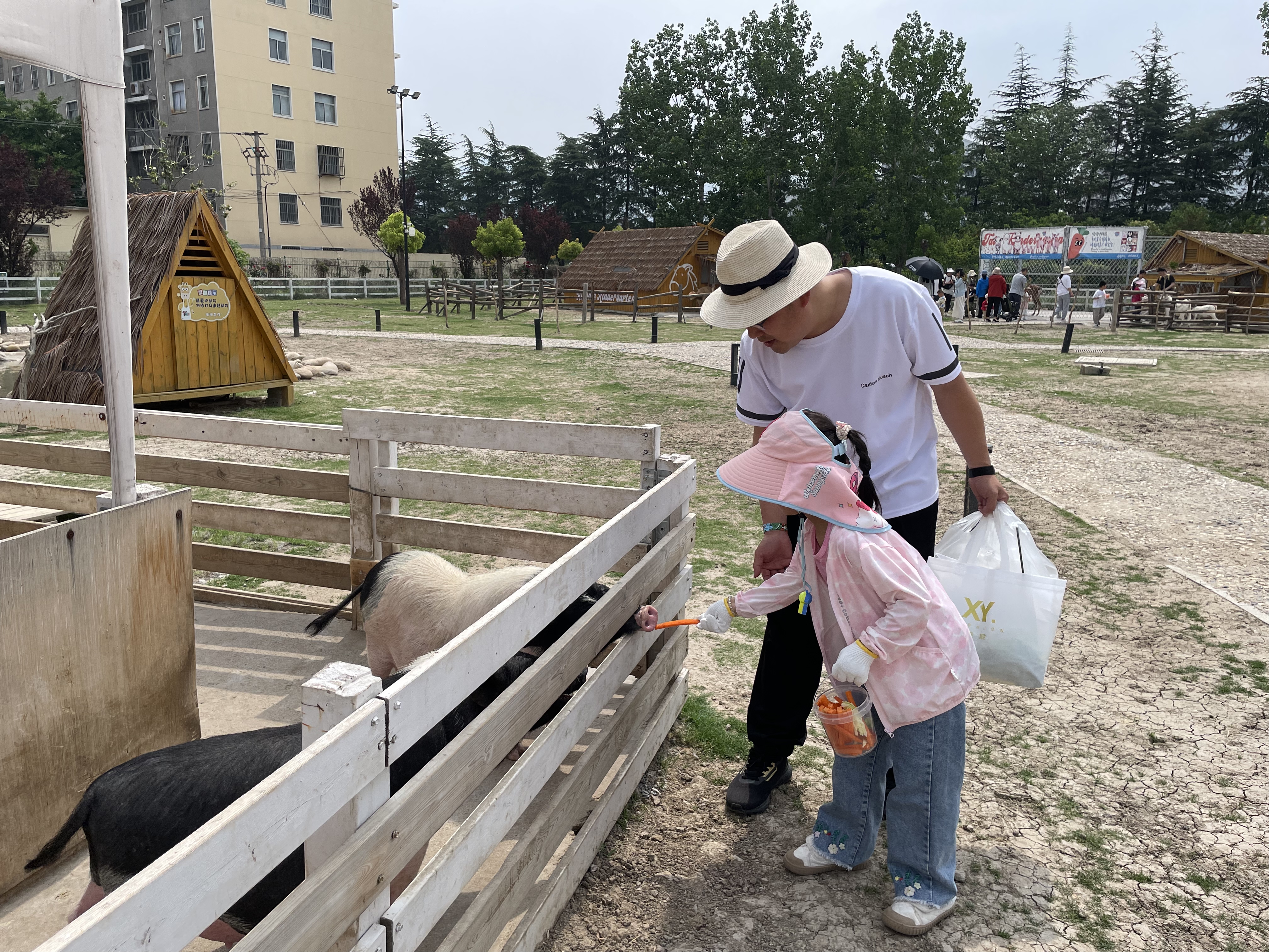 202505201102221747710142116630.jpg 微信圖片_20250519173212.jpg